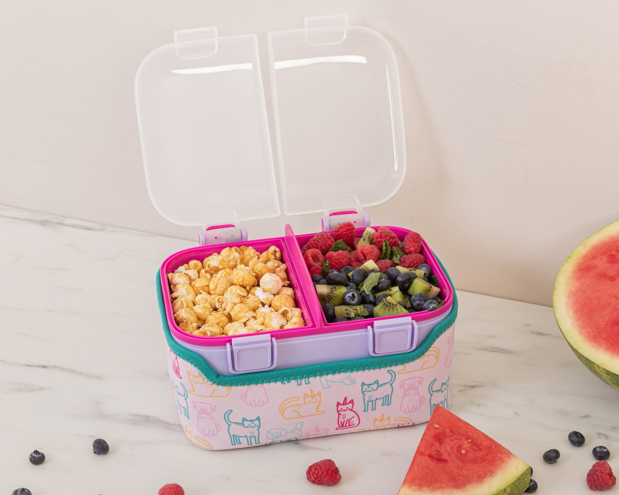 FOOD CUBE™ 3L ALL-IN-ONE LUNCH BOX | Party Pets | Planet E .